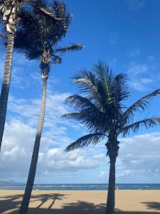 NON AVERE PAURA SGProgram by selene genisella 2